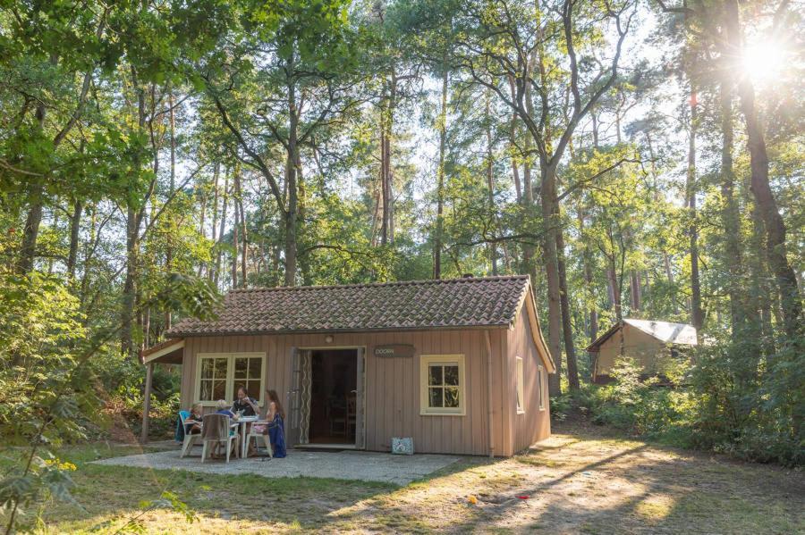 Chalets De Roos Beerze Eksteriør billede
